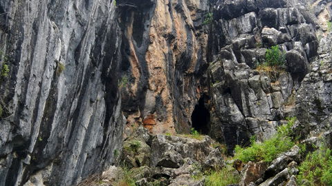 Borenore Karst Conservation Reserve - Tourism TAS 2