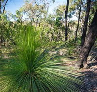 Brisbane Ranges National Park - Tourism TAS