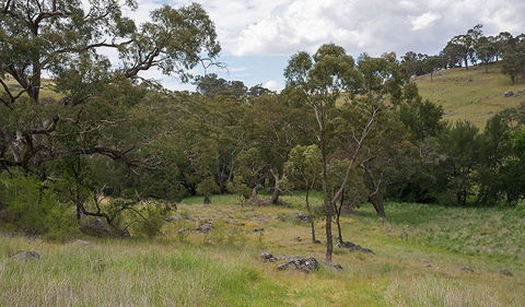 Verandah Cave - Tourism TAS 1