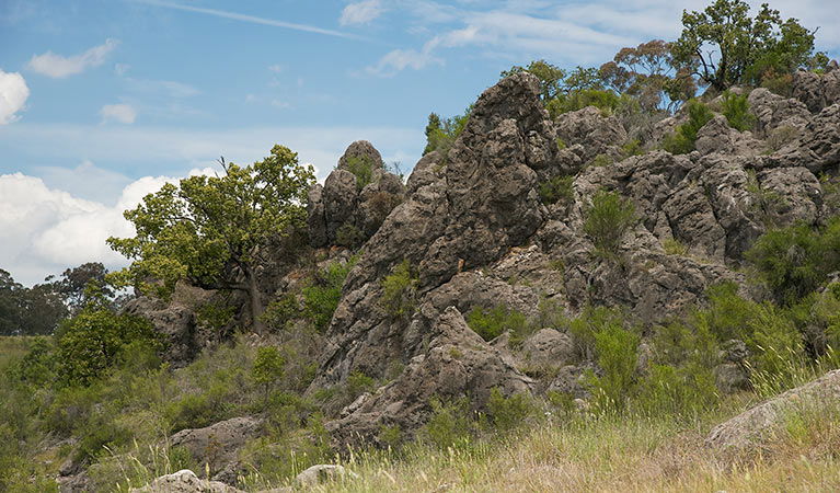 Lidster NSW Tourism TAS