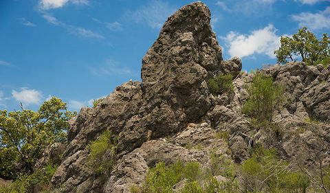 Verandah Cave - Tourism TAS 2