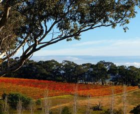 Bloodwood Estate - Tourism TAS 0
