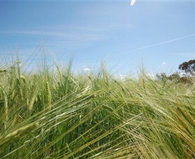 150 Degrees East Meridian - Tourism TAS 0