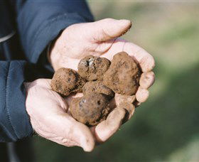 A Slice Of Orange - Tourism TAS 0