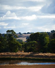 Brae - Hobart Tourism 4