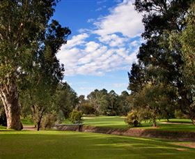 Commercial Golf Course - Hobart Tourism 0
