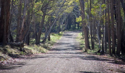 Coolah Tops National Park - Tourism TAS 1