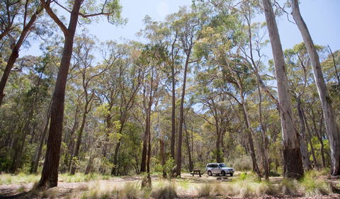 Coolah Tops National Park - Tourism TAS 0