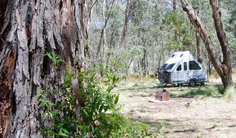Coolah Tops National Park - Tourism TAS 2