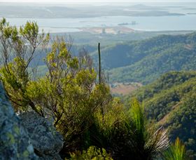 Mount Larcom Climb - Tourism TAS 1