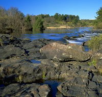 Kambah Pool to Pine Island - Tourism TAS