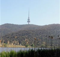 Black Mountain Peninsula - Tourism TAS