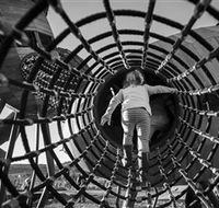 Pod Playground at the National Arboretum - Tourism TAS