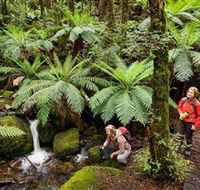 Baw Baw National Park - Tourism TAS
