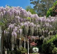 Nooroo Gardens - Tourism TAS