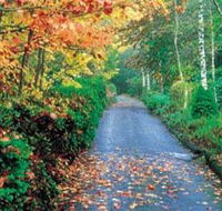 Mount Wilson and Mount Irvine - Tourism TAS