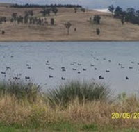 Lake Liddell Recreation Area - Tourism TAS