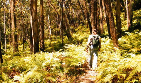 Federal Pass - Hobart Tourism 0