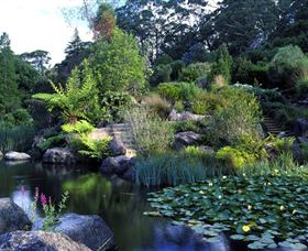 Blue Mountains Botanic Garden - Hobart Tourism 1