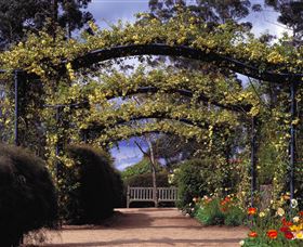 Blue Mountains Botanic Garden - Hobart Tourism 0