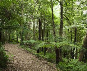 Blue Mountains Botanic Garden - Hobart Tourism 3