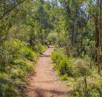 Mares Forest Creek walking track - Tourism TAS