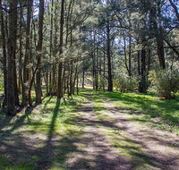 Wombeyan Waterfall walking track - Tourism TAS