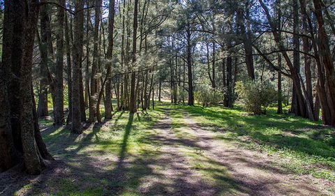 Wombeyan Waterfall Walking Track - Hobart Tourism 0