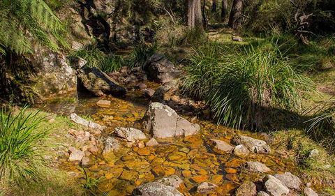 Wombeyan Waterfall Walking Track - Hobart Tourism 1