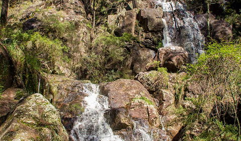 Wombeyan Waterfall Walking Track - Hobart Tourism 3
