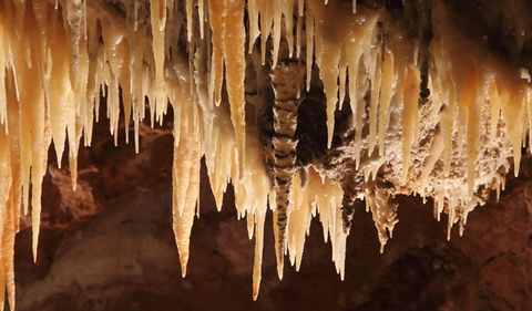 Wollondilly Cave - Hobart Tourism 1
