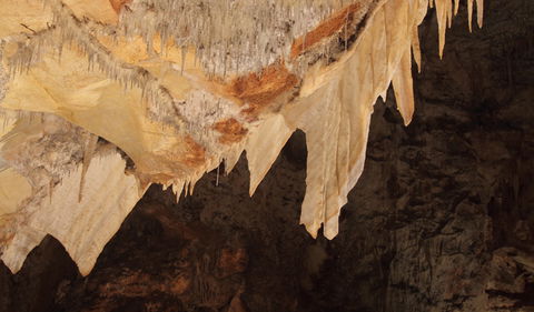 Wollondilly Cave - Hobart Tourism 3