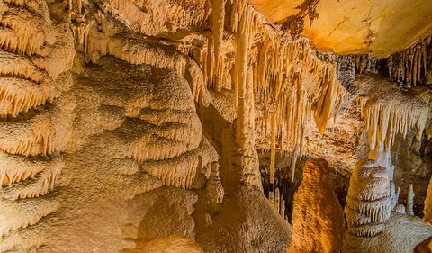 Kooringa Cave - Hobart Tourism 2