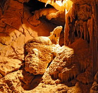 Fig Tree Cave - Tourism TAS