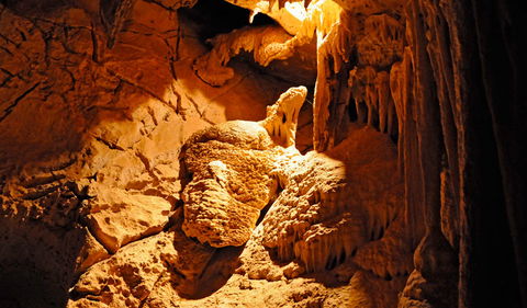 Fig Tree Cave - Hobart Tourism 0