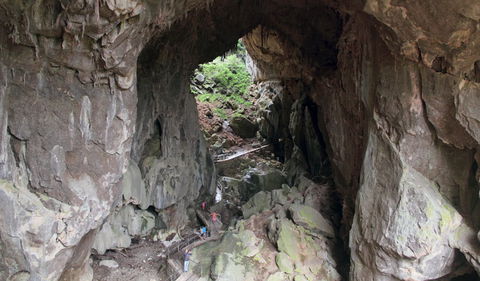 Fig Tree Cave - Hobart Tourism 1