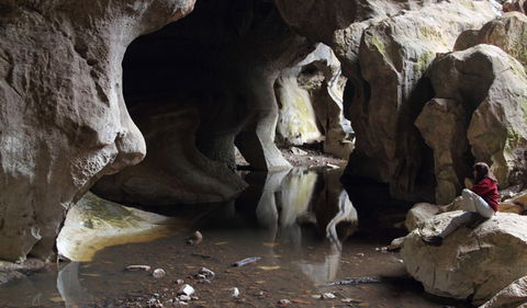 Fig Tree Cave - Hobart Tourism 2