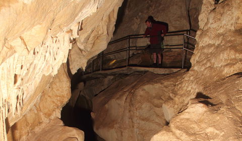 Fig Tree Cave - Hobart Tourism 3