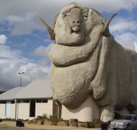 Big Merino - Tourism TAS