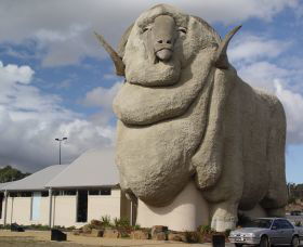 Big Merino - Hobart Tourism 0
