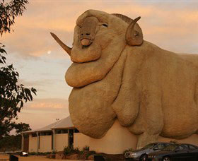 Big Merino - Hobart Tourism 3