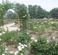 Victoria Park Rose Garden - Tourism TAS