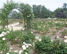 Victoria Park Rose Garden - Hobart Tourism 0