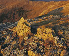 Kosciuszko National Park - Charlottes Pass To Snowy River - Tourism TAS 1