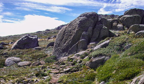 Mount Stillwell Walk - Tourism TAS 0