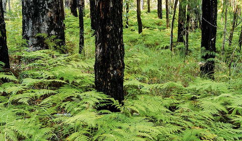 River Walk - Hobart Tourism 2