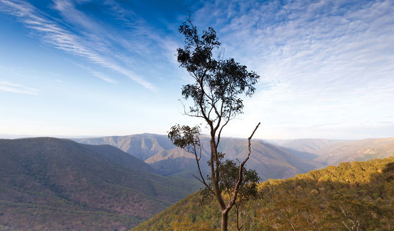 Mihi NSW Hobart Tourism