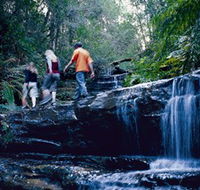 South Lawson Waterfall Circuit - Tourism TAS