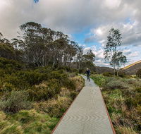 Thredbo Valley track - Hobart Tourism