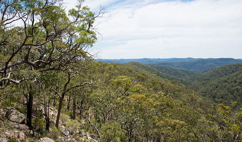 Howes Trail - Tourism TAS 2